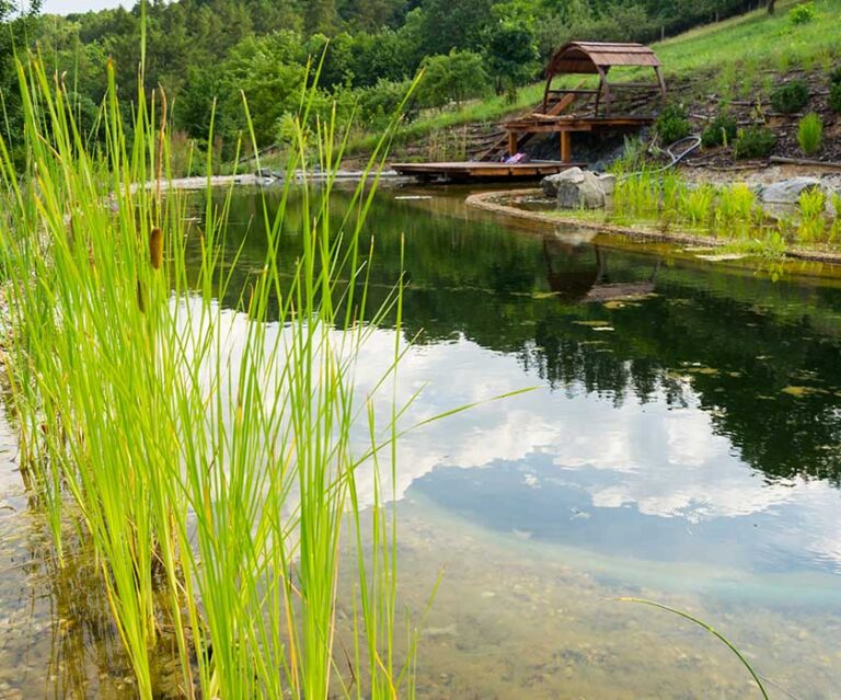 Everything you need for your dream pond!