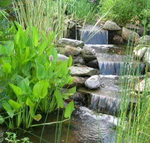 Waterval 3 AquaFLow