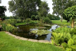 natuurvijver 2 Siervijver