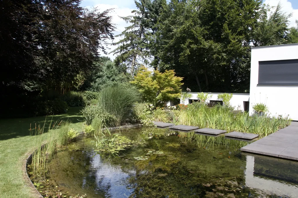 Natural Pond 3