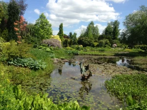 Natural pond - Naturteich 4