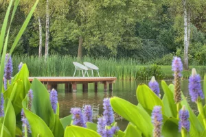 natuurvijver 5