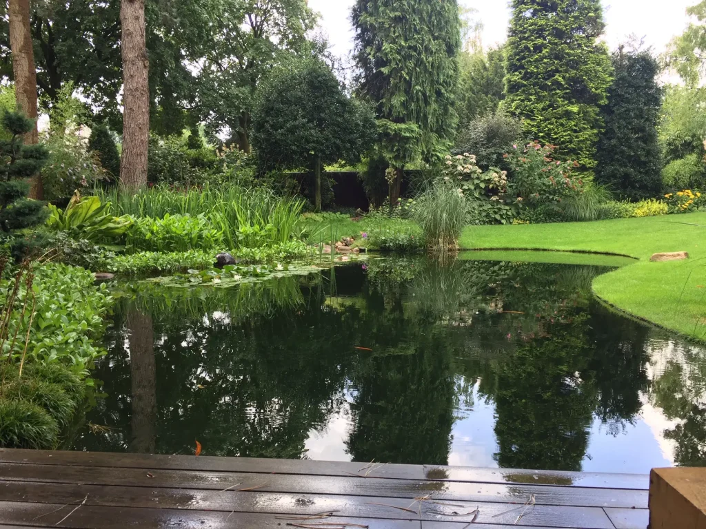 natuurvijver 6