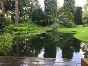natuurvijver 6