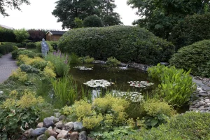 natuurvijver 7