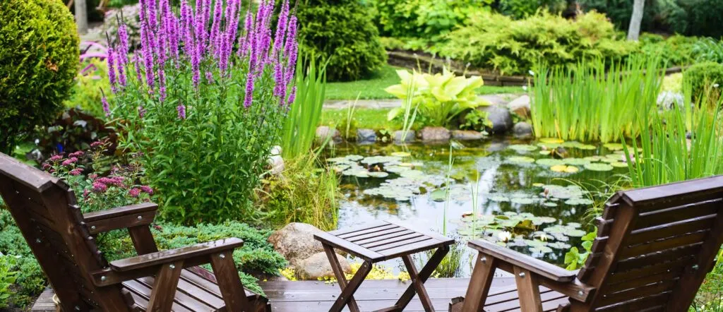 Natural pond