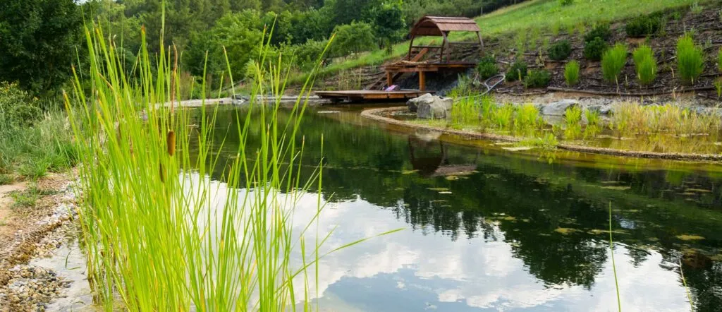 Swim pond